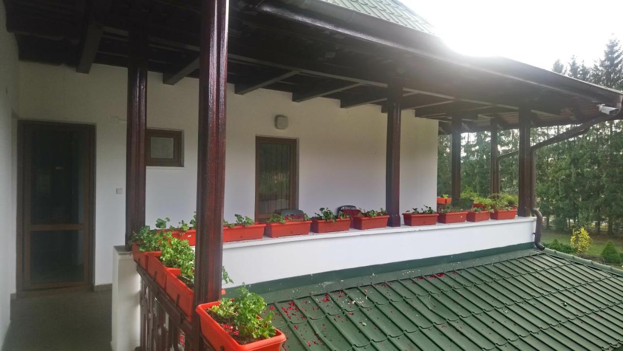 Casa "Ierusalim-Hozeva-Hozeva" Guest House Minastirea Neamt Екстериор снимка